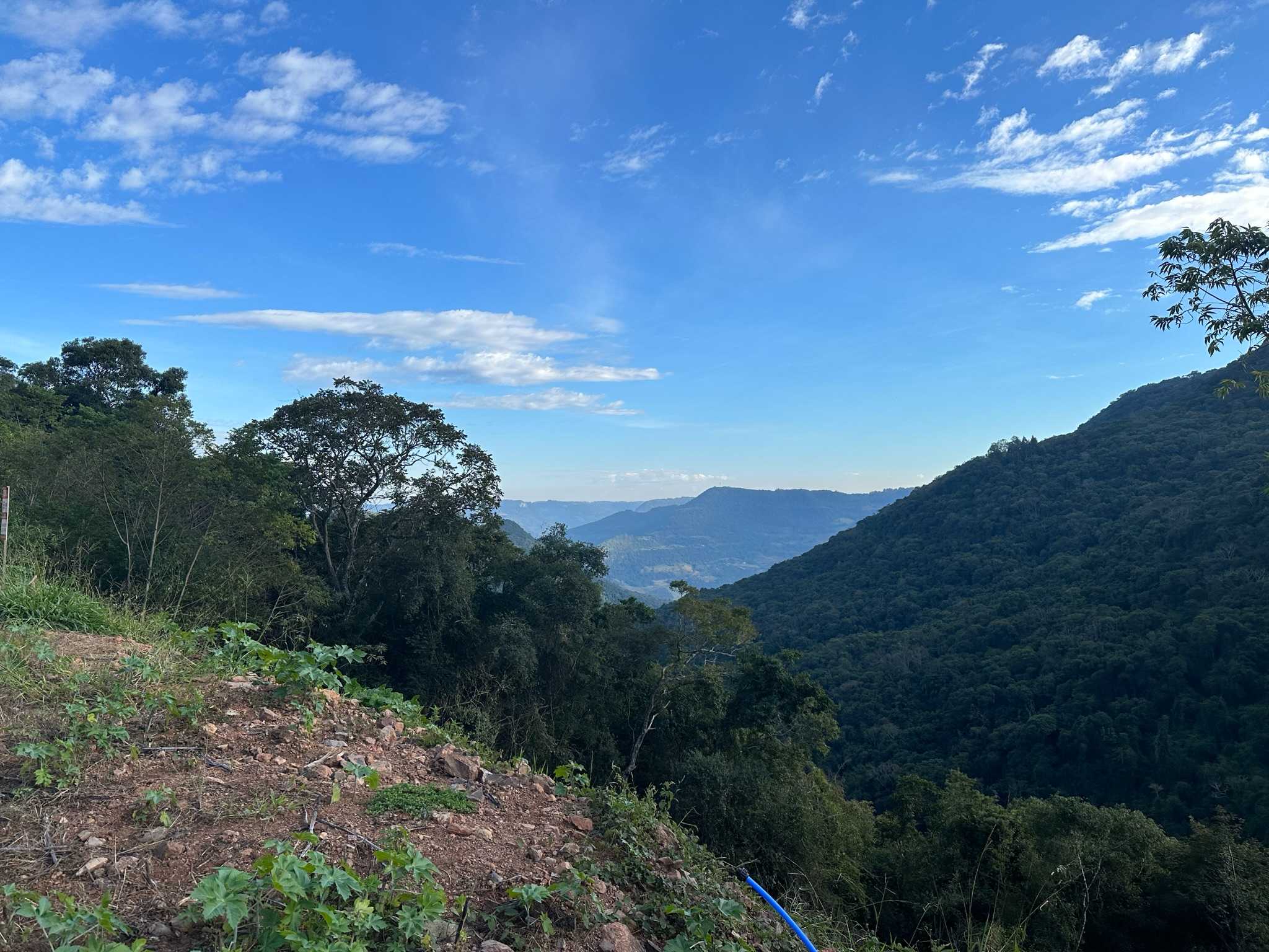 Terreno em Nova Petrópolis (3)