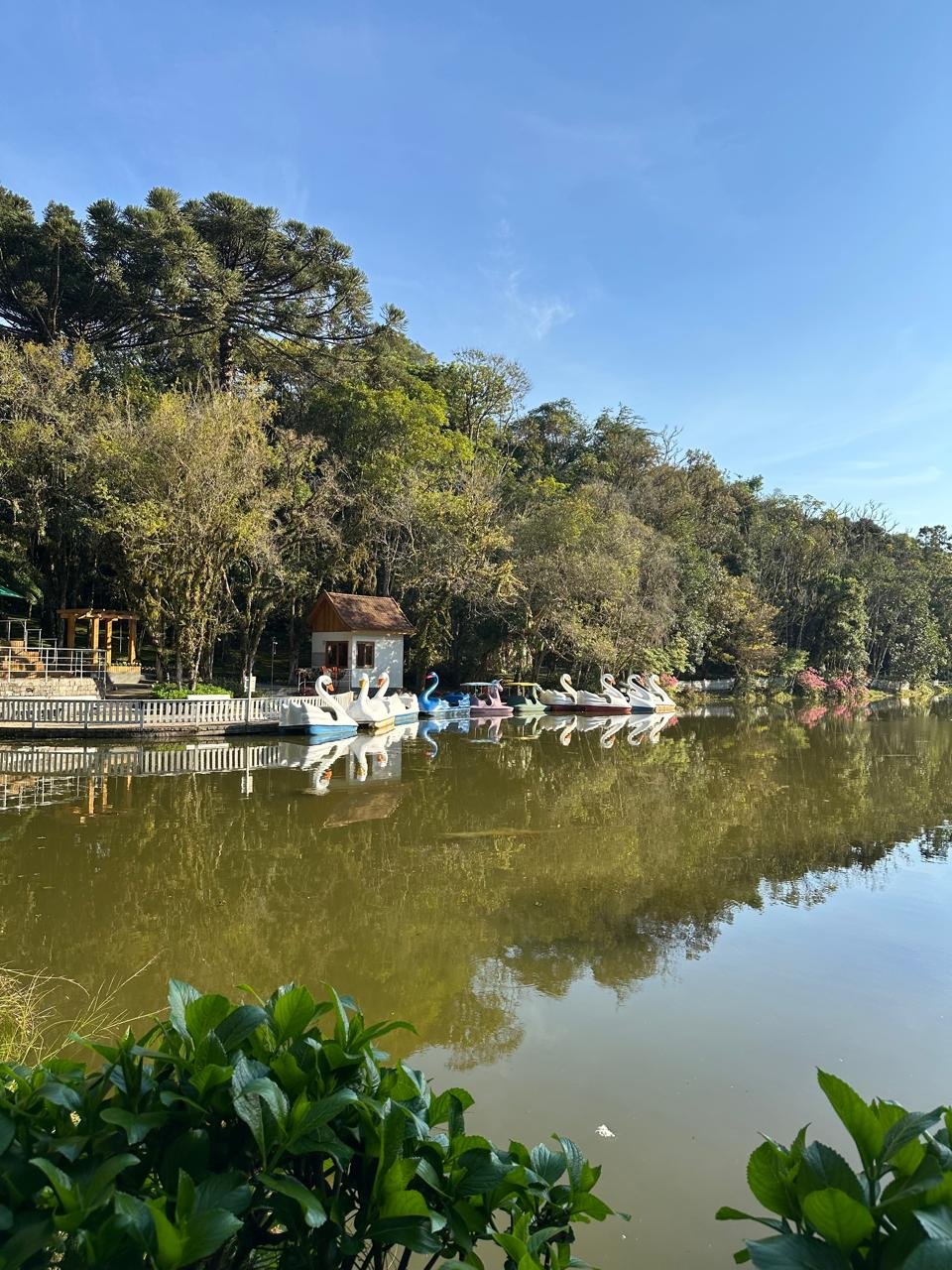 Nova Petrópolis (6)
