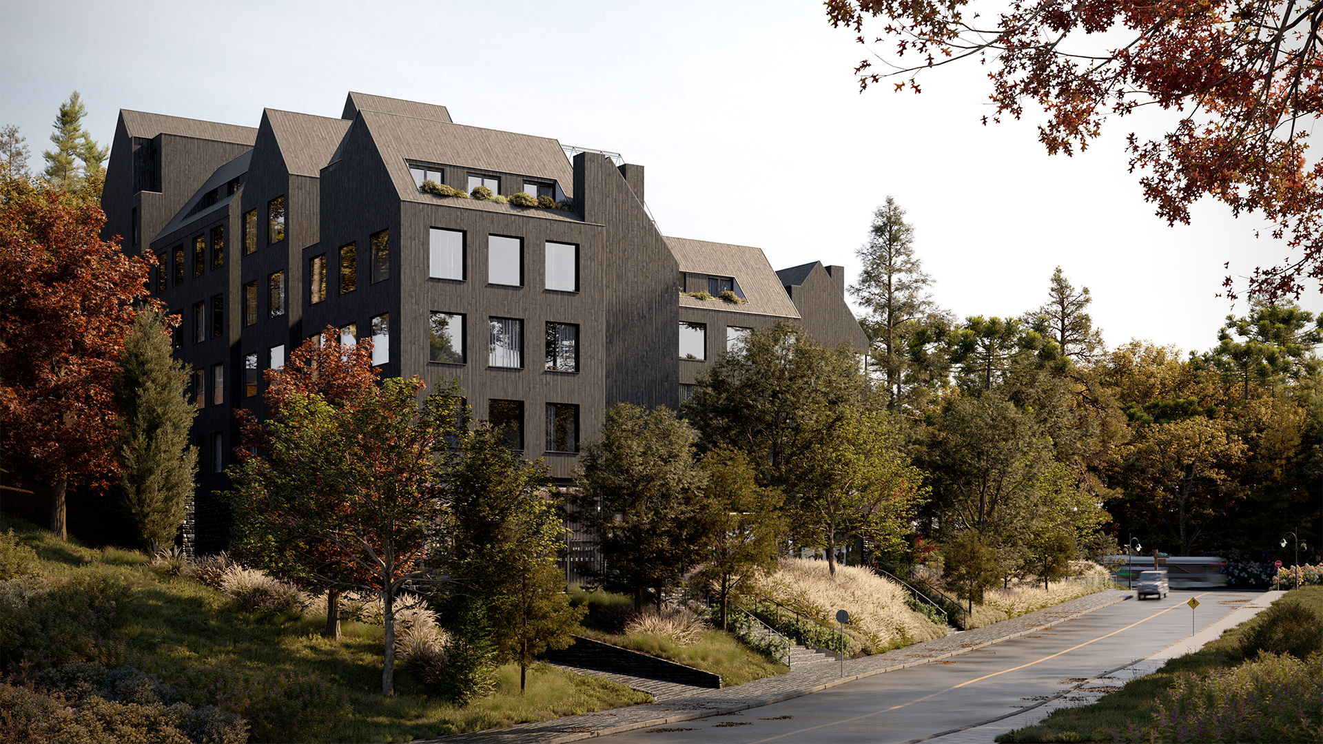 KOTA_SI_BH_AV_HORTENSIAS_FULLHD